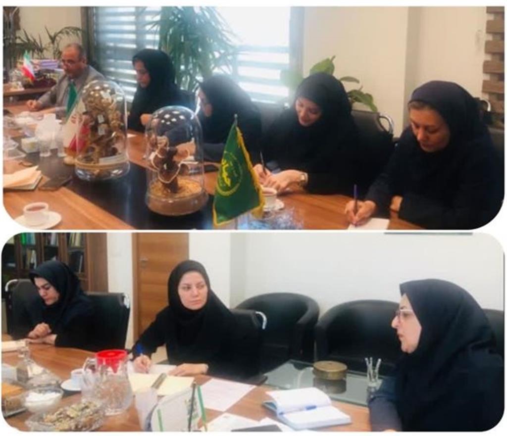 بازنگری نظام آموزش بهره‌برداران و مدیریت بهبود تولید زعفران