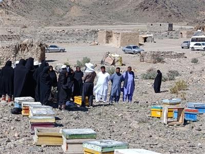 برگزاری كارگاه آموزشی ترویجی پرورش زنبور عسل ویژه اعضاء صندوق اعتبارات خرد زنان روستایی و عشایری در شهرستان خاش سیستان و بلوچستان