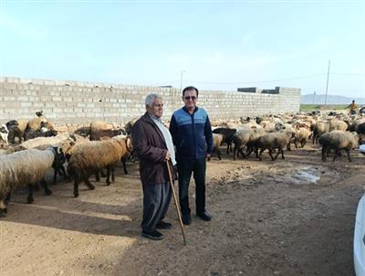 معرفی عضو هیات علمی مركز تحقیقات بوشهر به عنوان محقق معین برگزیده در سال ۱۴۰۴