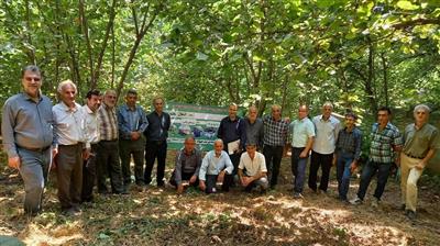 تقویت اقتصاد روستایی با دانش مدرن