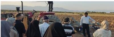 روز مزرعه ذرت ؛ خیز بلند كشاورزان دامغانی برای كاهش ۵۰ درصدی مصرف آب با الگوی كشت نوین ذرت