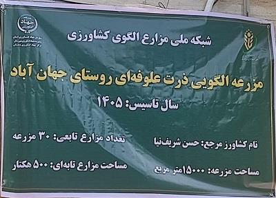 افتتاح مزرعه الگویی ذرت در شهرستان تهران