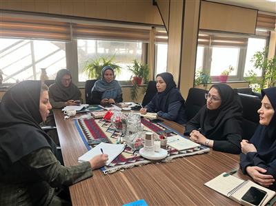 تدوین شاخص‌های رتبه‌بندی صندوق‌های اعتبارات خرد زنان روستایی آغاز شد
