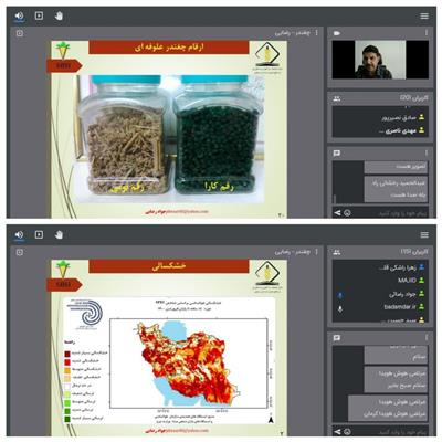 از كاشت تا مصرف؛ وبینار آموزشی چغندر علوفه‌ای
